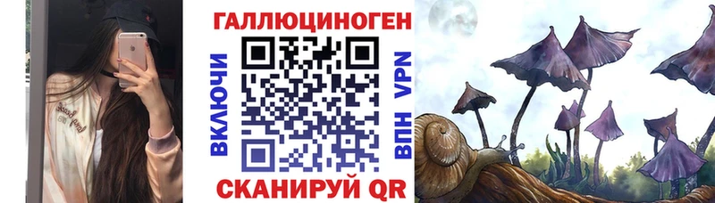 Псилоцибиновые грибы мицелий купить закладку Оса